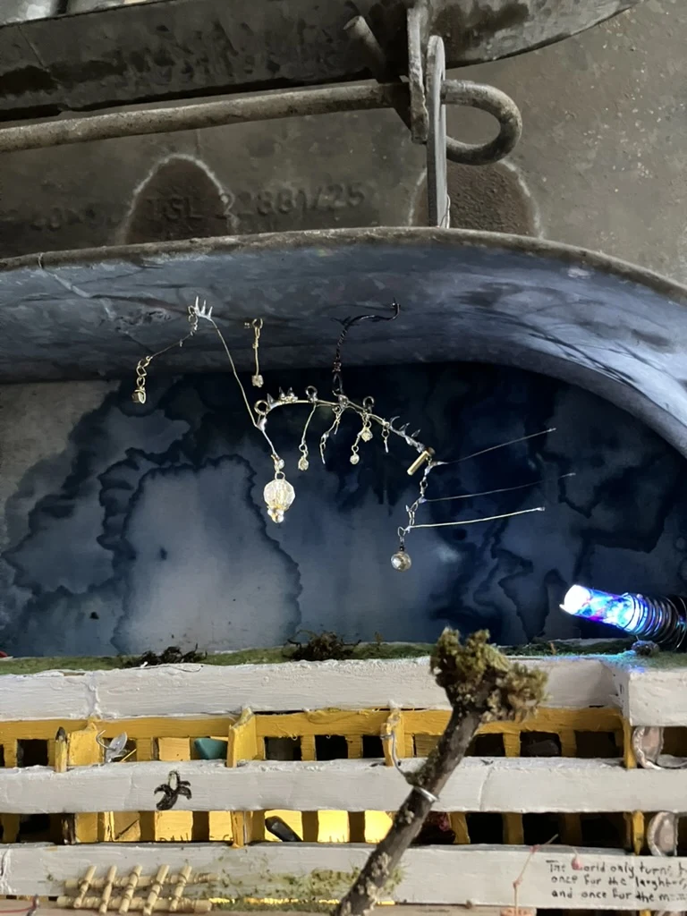 Close view of the reflecting creature inside Kotti